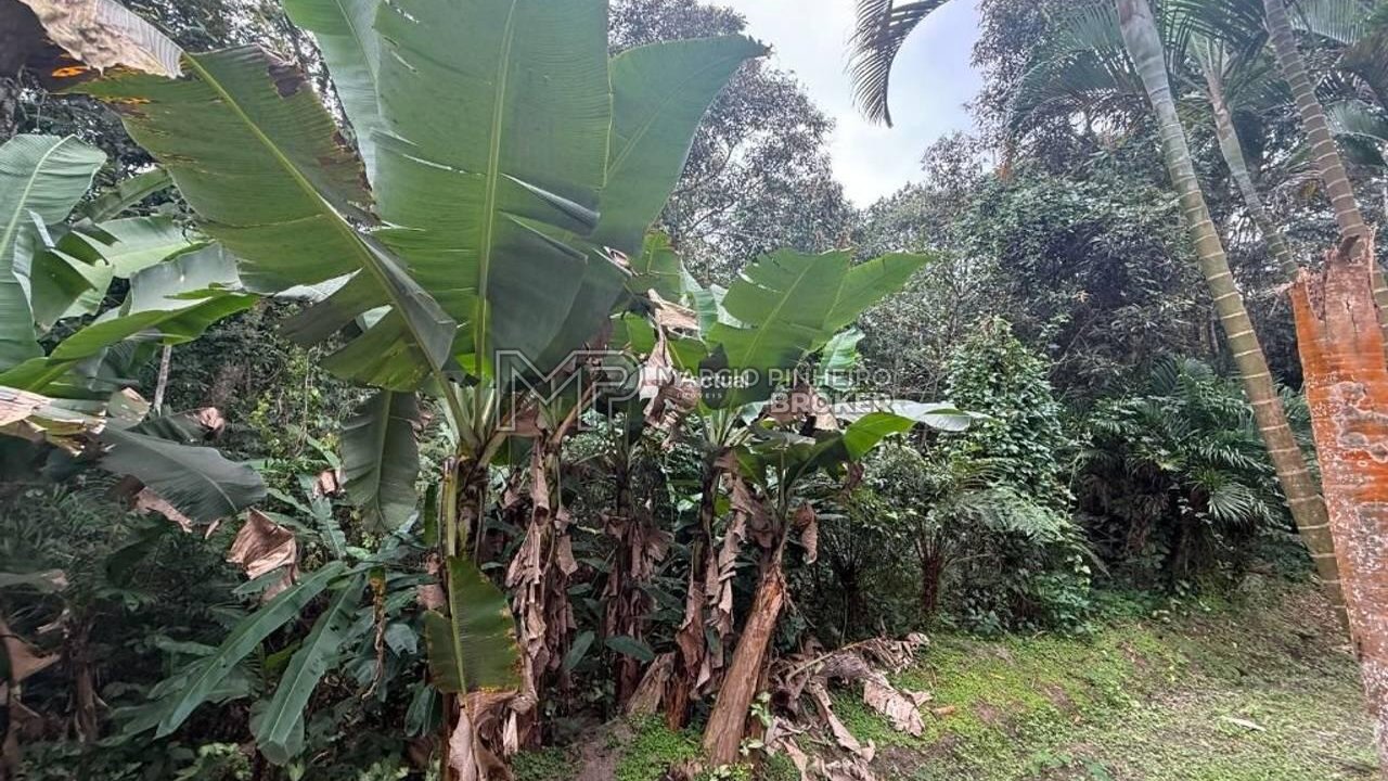 Terreno — foto 2 de 2